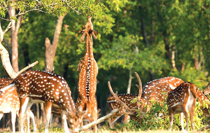 Most Popular Tourist Place in Bangladesh